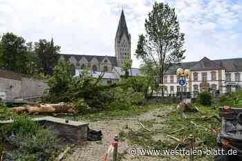 Tornadoschäden: Wiederaufbauplan für Paderborn zugestimmt