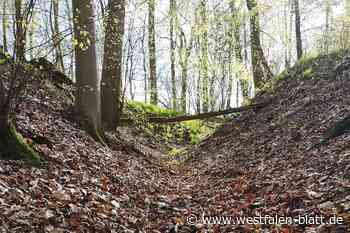 Unterwegs auf dem alten Eiserweg bei Borgentreich