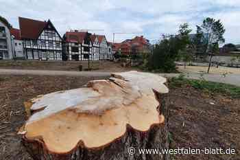Geisselscher Garten: Stadt Paderborn will Bürger beteiligen