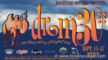 Lotion, Monsterland, Jenny Toomey, Antietam & more playing '90s indie rock fest in Hudson, NY