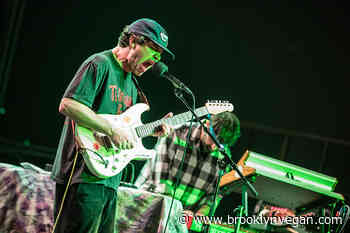 Listen to Animal Collective's unearthed cover of Fleetwood Mac's "Dreams"