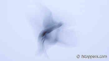 Top Creative Photographers Have 10 Things in Common: Part Two