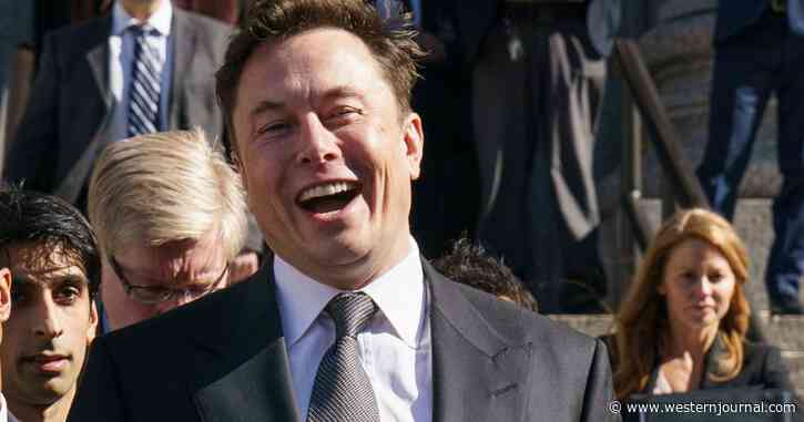 Elon Musk Shares 'Meme' Guide to Constitution, Expresses Importance of 2nd Amendment