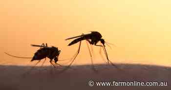 The scented soap that makes you repulsive to mozzies