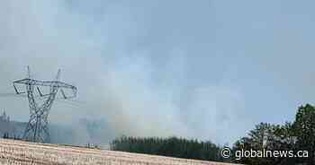 Wildfire near Devon prompts evacuation in Leduc County; Parkland told to be on alert