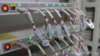 Australia not 'even at the start line' in global race to build renewable battery industry