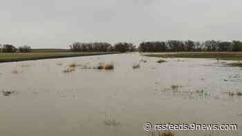 Rain triggers flooding issues, road closures across Denver metro area