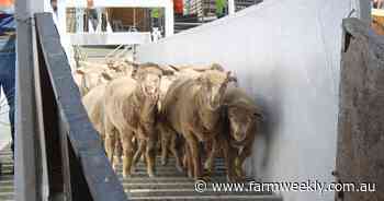 The fallout from live-ex decision is devastating