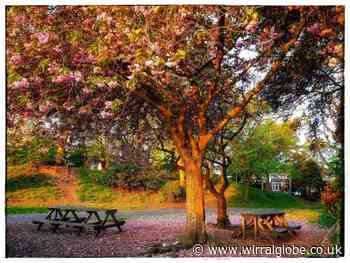 From sunrise to sunset - fabulous photos from around Wirral