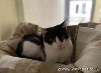 Could you give Malia the home in York she so badly needs?