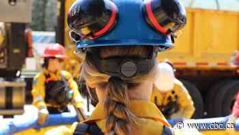 Firefighting needs 'all hands on deck' to keep up with wildfires