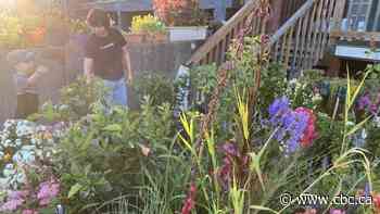 I can't give my mom the garden she deserves, but her flowers are as resilient as she is