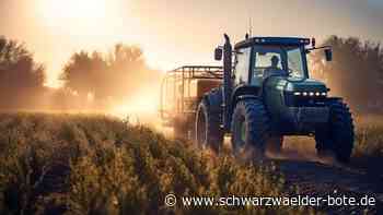 Landwirtschaft in Neubulach: Der Umweltschutz spielt größere Rolle