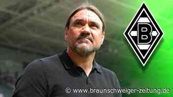Farke trotzt den Gerüchten - Gladbach-Fans wenden sich ab