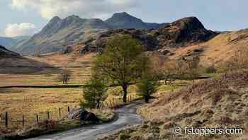 Are You Making Each Shot Better Than the Last?