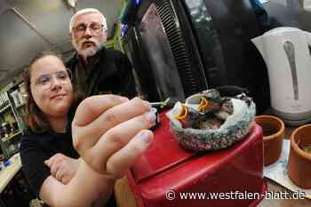 „Die Stadt Bielefeld muss uns besser unterstützen“