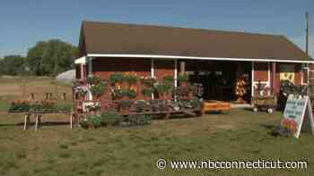 Brown's Harvest Farm Hosts Spring Fest to Open the Season