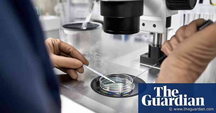 Overhaul UK fertility law to keep up with advancements, expert says