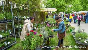 Gartenmesse und  Keramika: Eisheilige können Nagold-Besucher nicht schrecken