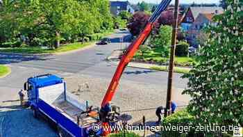 Maibaum in Wahle gebrochen – niemand verletzt