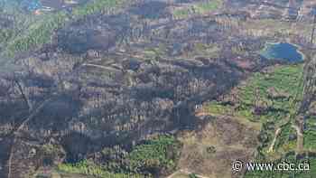 See some of the wildfire damage in Alberta from above