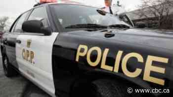 1 dead after single-vehicle crash Sunday morning near Hagersville, Ont., OPP say