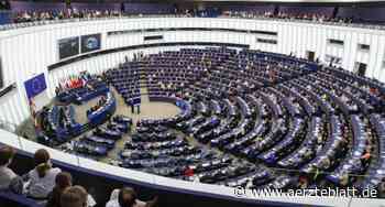 Regeln für Künstliche Intelligenz nehmen Hürde im EU-Parlament