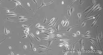 Forschung an Gentherapie gegen Glioblastome
