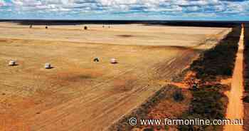 Cropping country in the north-west offered for a low price