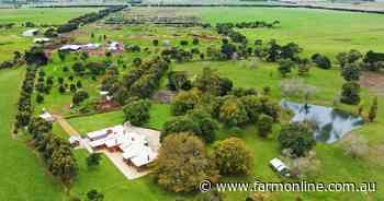 Two famous Western District sheep farms for sale walk-in walk-out