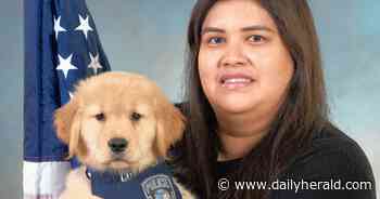 Good News Sunday: It's Lilac Time in Lombard, and the blooms are popping