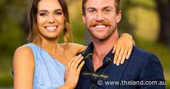 FWFWW Blog 13: It's time to pick a winner