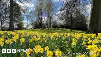Sheffield Botanical Gardens to host tree festival