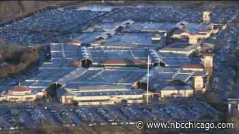 1 Arrested After Panic Ensues at Chicago Premium Outlets Following Report of Person With a Gun