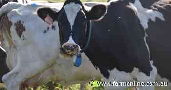 Australian milk production to continue to slide: dairy market analyst