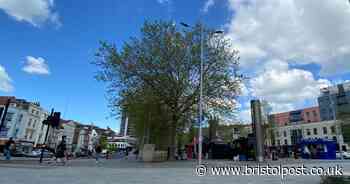 Small Bristol businesses say they are fed up with constant graffiti tagging