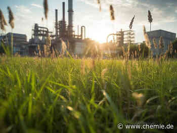 Winzige Mikroben könnten große Vorteile für die grüne Bioproduktion mit sich bringen