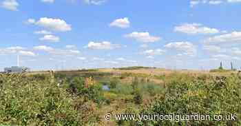 Killing of foxes at Beddington Farmlands stopped for now