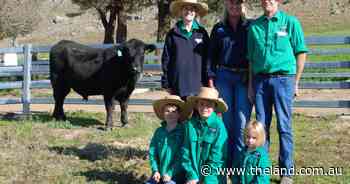 Bongongo sells to a $16,000 top three times