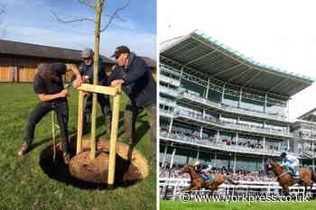 York Racecourse launches 'Green Knavesmire 300' environment strategy