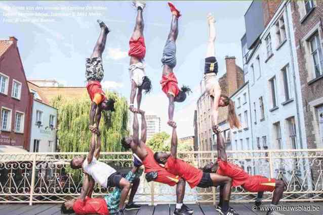 Beiaardfeesten zetten Meise op zijn kop