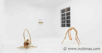 This Young Artist’s Works Capture the Agony and Ecstasy of Being Alive