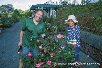 Rose Society garden at UH facility in Pearl City closes down