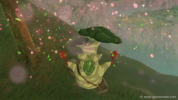 Why are so many Zelda Tears of the Kingdom players torturing the Koroks?!