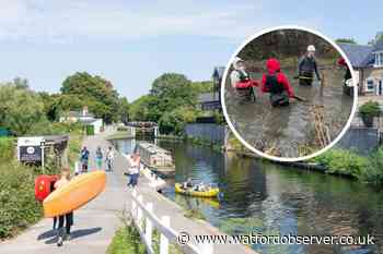 Toxic 'forever chemicals' found in Watford's River Colne