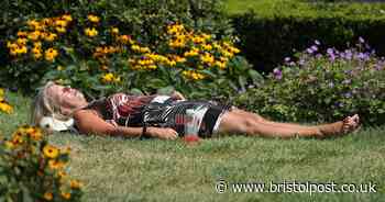 Met Office gives verdict on 35C 'African plume' heatwave this summer