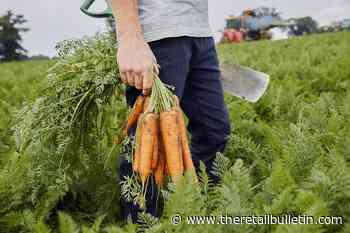 Lidl calls for other supermarkets to make fruit and veg more appealing to kids