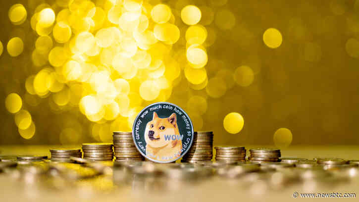 Dogecoin Sees Highest Transactions Count Ever Due DRC20 Madness