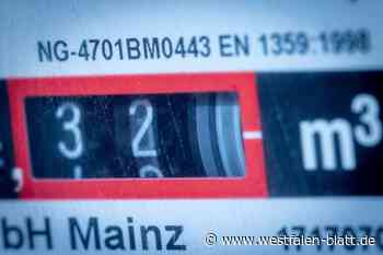 FWB und FDP Borchen fordern nachhaltiges Energiesparen