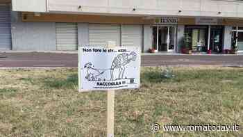 A Roma più di una strada su tre è sporca di deiezioni canine